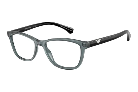 Eyewear Emporio Armani EA3099 6364
