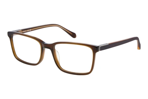 Silmälasit/lasit Fossil FOS 7229 FL4