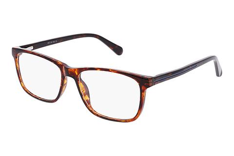 Brille Fraymz AC399 C