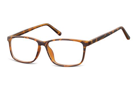 Brille Fraymz CP130 A