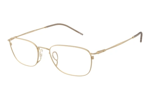Eyewear Giorgio Armani AR5171 3002