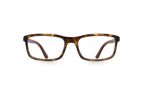 Eyewear Gloryfy GX Downtown 1X29-04-41