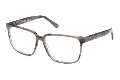 Eyewear Harley-Davidson HD50123 020