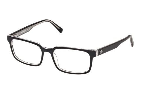 Naočale Harley-Davidson HD50156 003