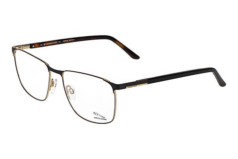 Eyewear Jaguar 33103 1192