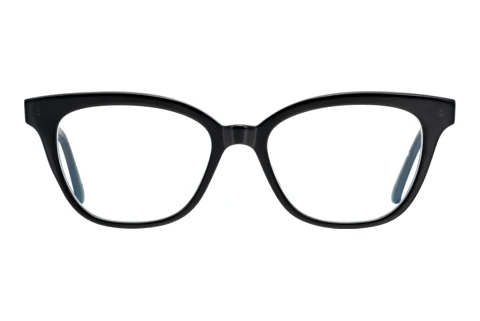 Eyewear MASUNAGA KOKI069 69