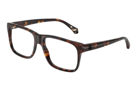 Glasögon Moncler PRECISA (ME2036 3002)