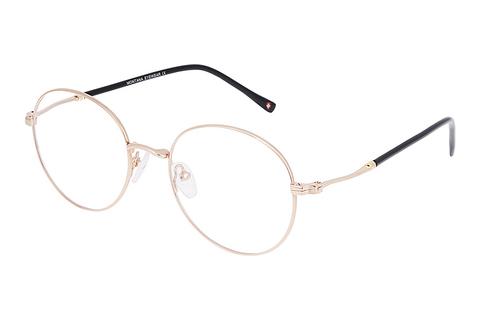 Brille Montana MM598 C