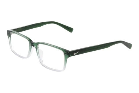 Glasögon Nike NIKE 1001C 313