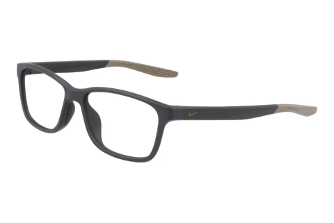 Glasögon Nike NIKE 5048 302