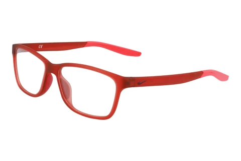 Glasögon Nike NIKE 5048 600