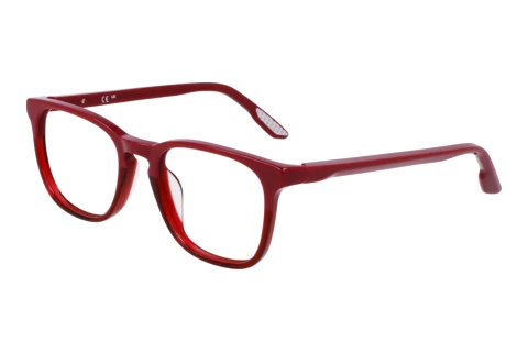 Eyewear Nike NIKE 5055 N 613