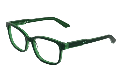Glasögon Nike NIKE 5073 323