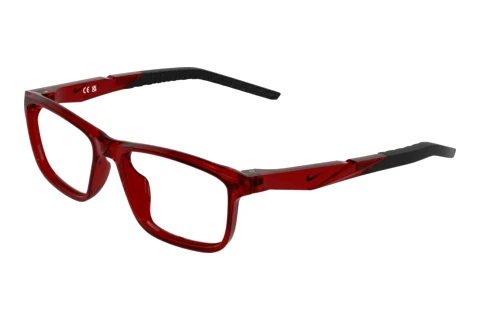 Eyewear Nike NIKE 5104 607