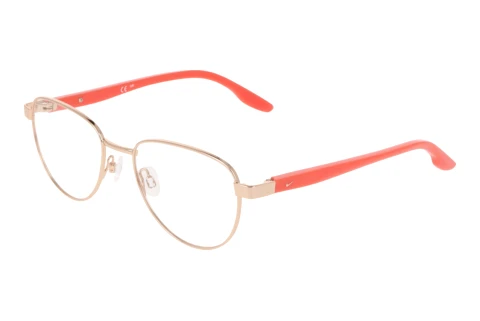 Lunettes design Nike NIKE 5401 N 780