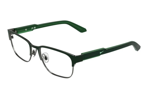 Eyewear Nike NIKE 5402 309