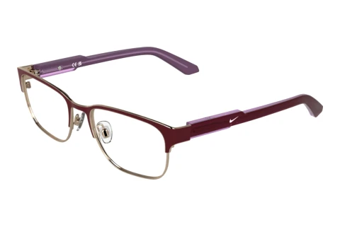 Eyewear Nike NIKE 5402 605