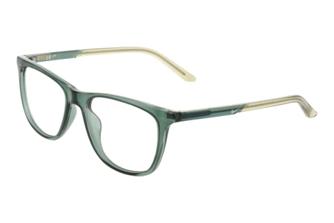 Eyewear Nike NIKE 7132 301