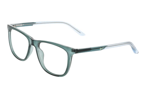 Eyewear Nike NIKE 7132 447
