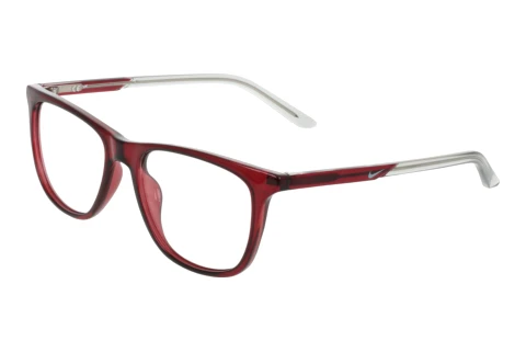 Eyewear Nike NIKE 7132 601
