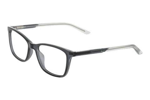 Eyewear Nike NIKE 7133 033