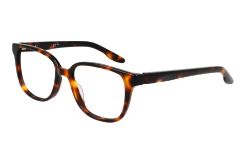 Glasögon Nike NIKE 7172 N 239