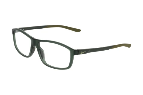 Eyewear Nike NIKE 7291 N 302