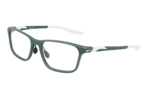 Glasögon Nike NIKE 7405 N 301