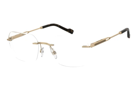 Glasögon Pierre Cardin P.C. 6921 J5G