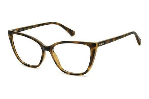 Brille Polaroid PLD D545 086