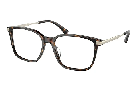 Bril Polo PH2255U 5003
