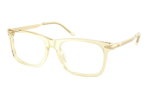 Okuliare Ralph Lauren RL6253U 5034