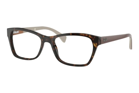 Eyewear Ray-Ban RX5298 5549