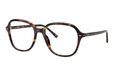 Rame Ochelari Ray-Ban RX5456 2012