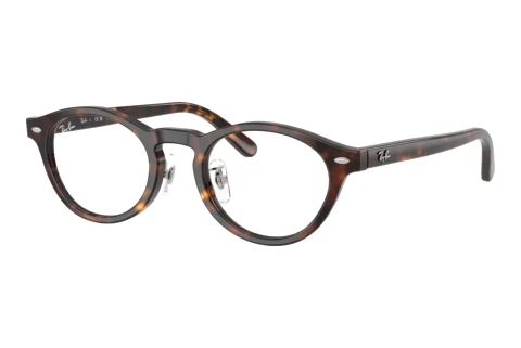 Rame Ochelari Ray-Ban RX5457D 2012