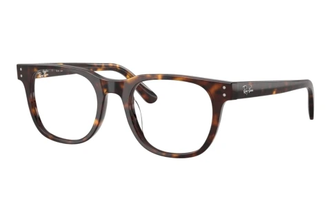 Rame Ochelari Ray-Ban RX5461D 2012