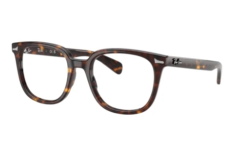 Rame Ochelari Ray-Ban BRUNEL II (RX5535 2012)