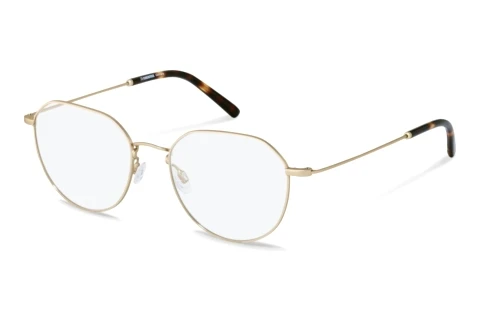 Glasögon Rodenstock R2632 G000
