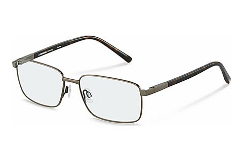 Glasögon Rodenstock R7130 C000