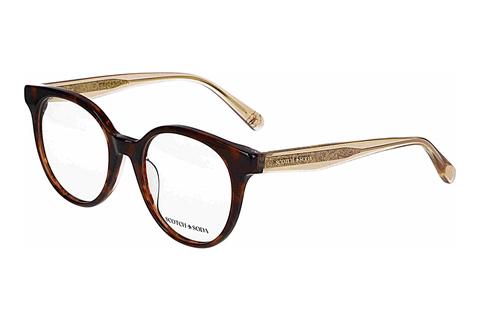 Lunettes de vue Scotch and Soda 503036 157