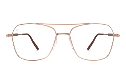 Eyewear Silhouette Pure Visionary (4571 3532)