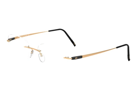 Eyewear Silhouette Racing Collection (5502-BP 7530)