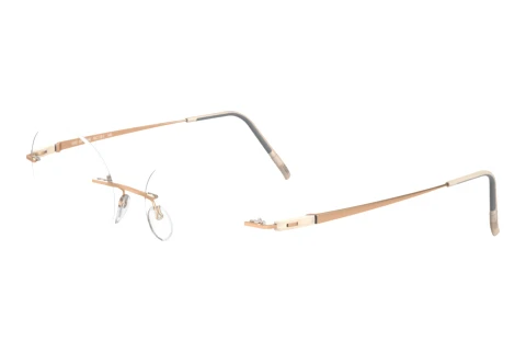 Eyewear Silhouette Racing Collection (5502-BT 8541)