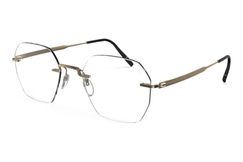 Eyewear Silhouette The Visionary (5586-GH 7530)