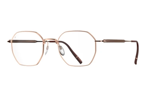 Eyewear Silhouette Pure Visionary (5588 3530)