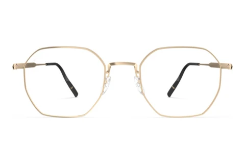 Eyewear Silhouette Pure Visionary (5588 7531)