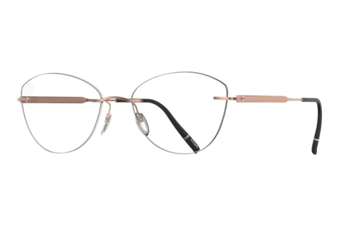 Gafas de diseño Silhouette The Timeless Visionary (5603-CJ 3530)