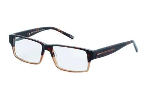 Gafas de diseño Strellson Eric (ST1267 556)