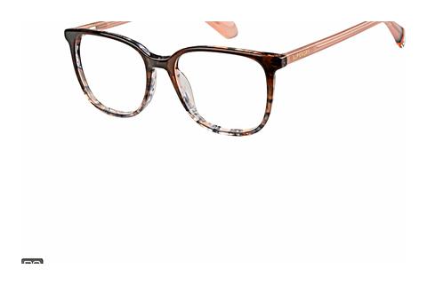 Brille Superdry SDO 3023 102