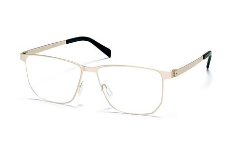 Gafas de diseño Sur Classics Leon (12505 gold)